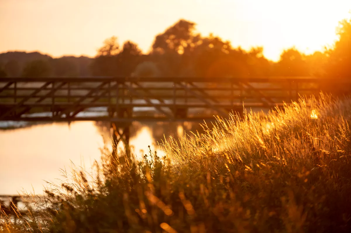 Midzomerdans 2020 bij Yell & Yonkers in de tuin