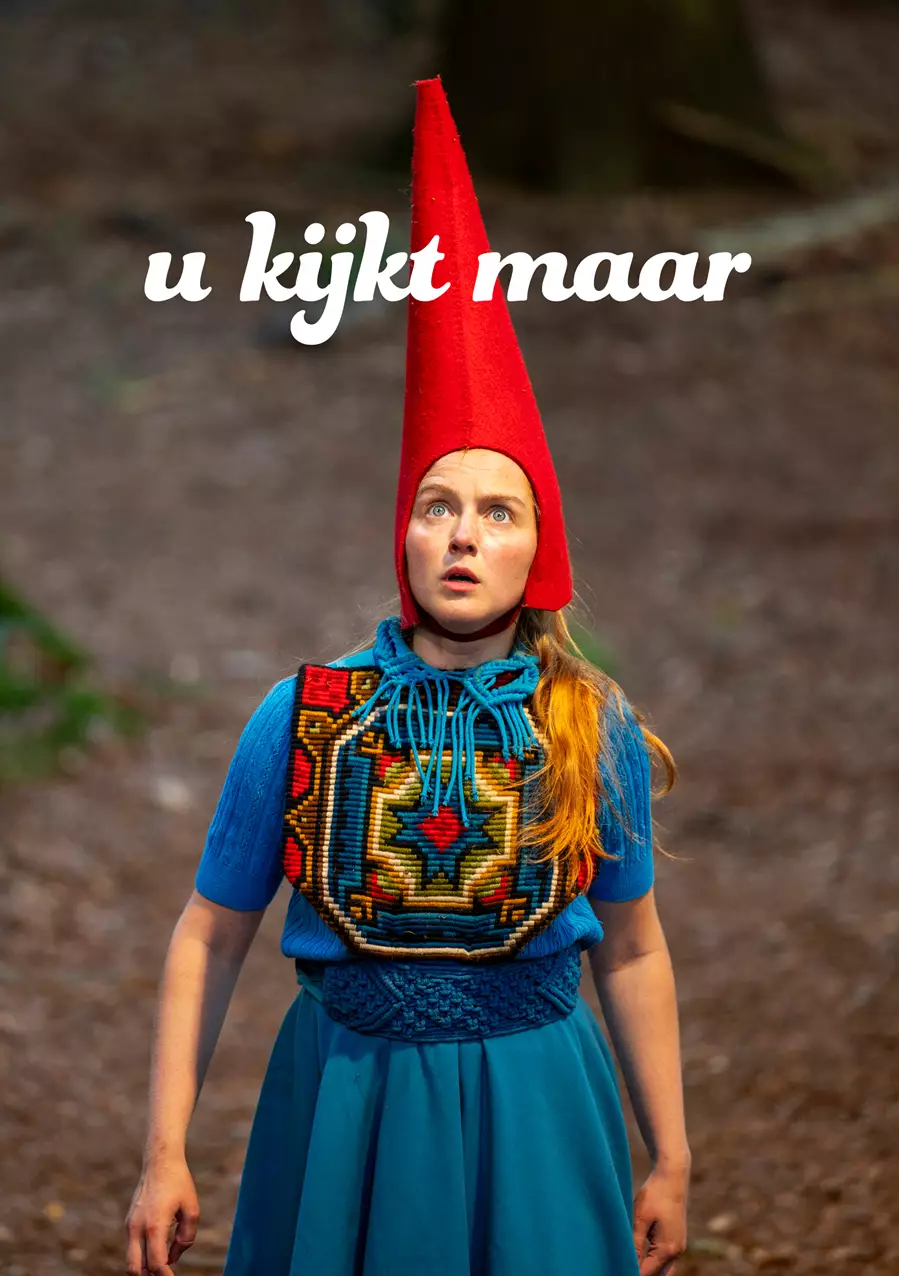 Het Houten Huis - Voor ze verdwijnen